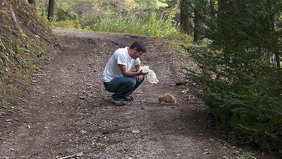 1-Man-Saves-Cat-from-Woods