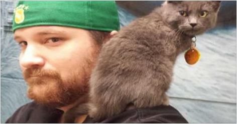 A Man Takes a Chance on a Hissy Shelter Kitty, After a Few Pets, Everything Changes..