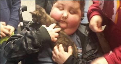 Little Boy That Is Terminally Ill Gets Shelter Cat That Loves Him To Pieces!