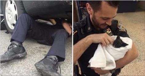 Police Officers Rescued Kitty From Car Engine, And Adopted Him!