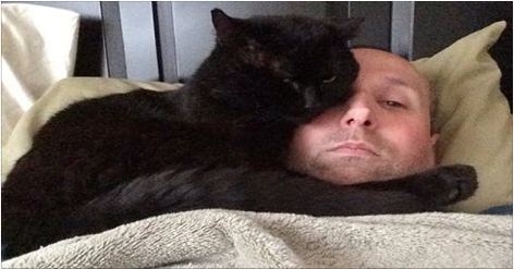 Spent Most of His Life as a Stray Cat Until He Found this Man