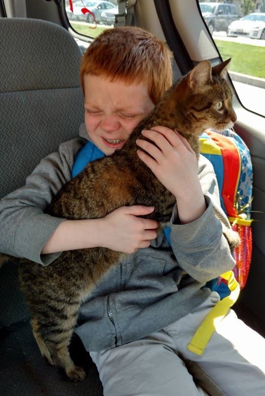 9-year-old Boy with Autism Breaks into Tears When He Reunites With Cat, His Best Friend