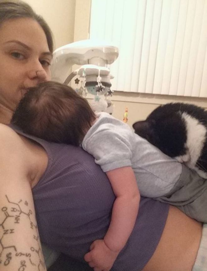Her Cat Loves Sleeping On Her Pregnant Belly… But Watch When The Baby Finally Comes!