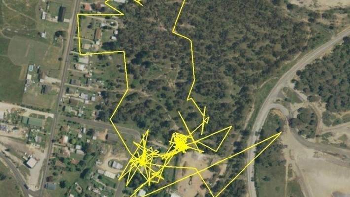She Let Her Cat Out With A GPS Tracker… When She Saw What He Secretly Does It Left Her Stunned.