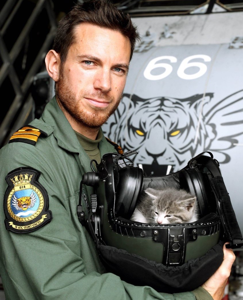 Kitten Travels in Pilot's Car for 300 Miles and Finds His Way into the Navy