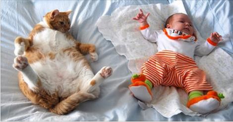 15 Pictures Proving Cats LOVE Kids!