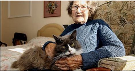 Cats Finds Previous Owner In Nursing Home!