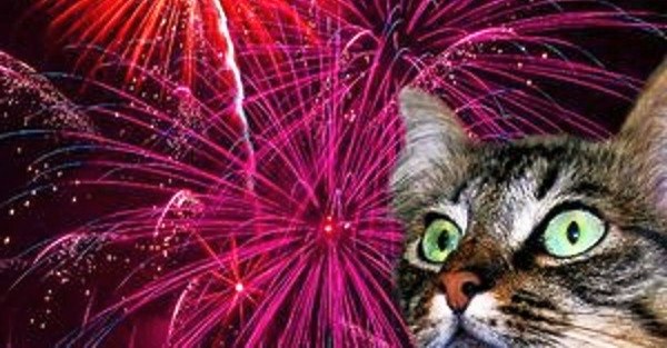 Italian City to Use Silent Fireworks Out of Respect for Animals