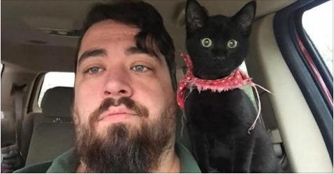 Man Saves Kitten, and She Immediately Claims Him As Family