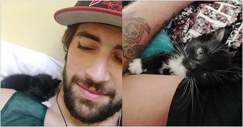Runty Kitten Chooses His Rescuers to Be His Family for Life