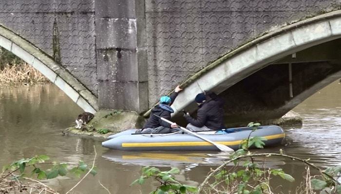 Cat Missing for 15 Months, Rescued From Being Trapped Under Bridge