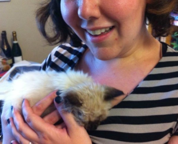 Woman Takes a Chance on a Lost Kitten, What a Difference a Day Makes.