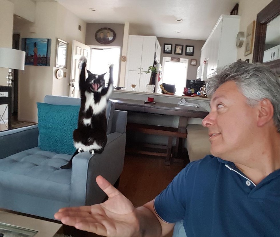 Man Discovers His Cat's Unique Talent