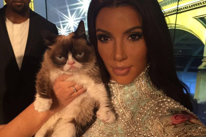 Grumpy Cat Unimpressed by her Wax Figure at Madame Tussauds