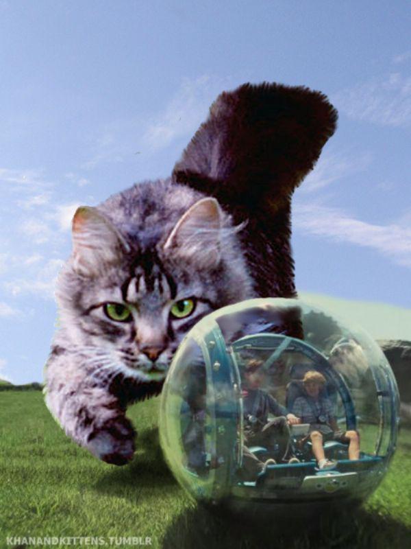 jurassic-world-cats-gatti-20