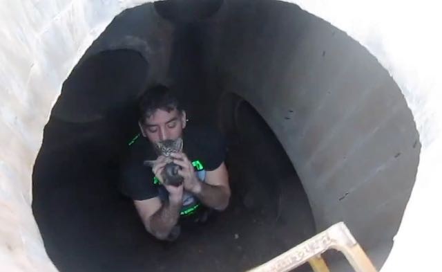 Heroic Man Jumps in Storm Drain to Save Kitty