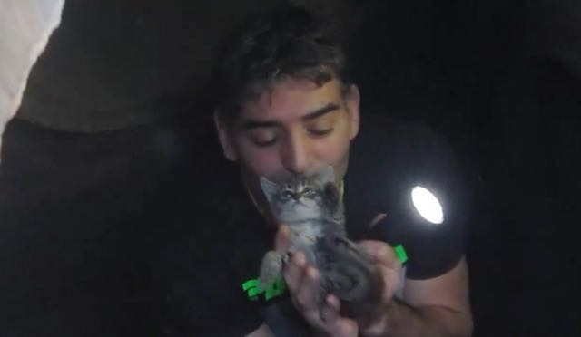 Heroic Man Jumps in Storm Drain to Save Kitty