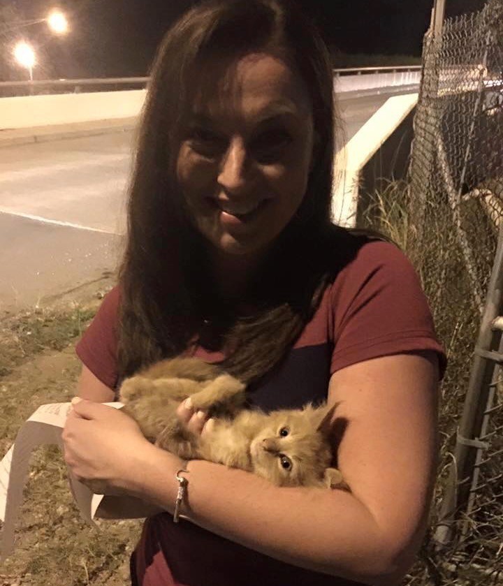 Stray Kitten Saved by News Crew During Live Broadcast