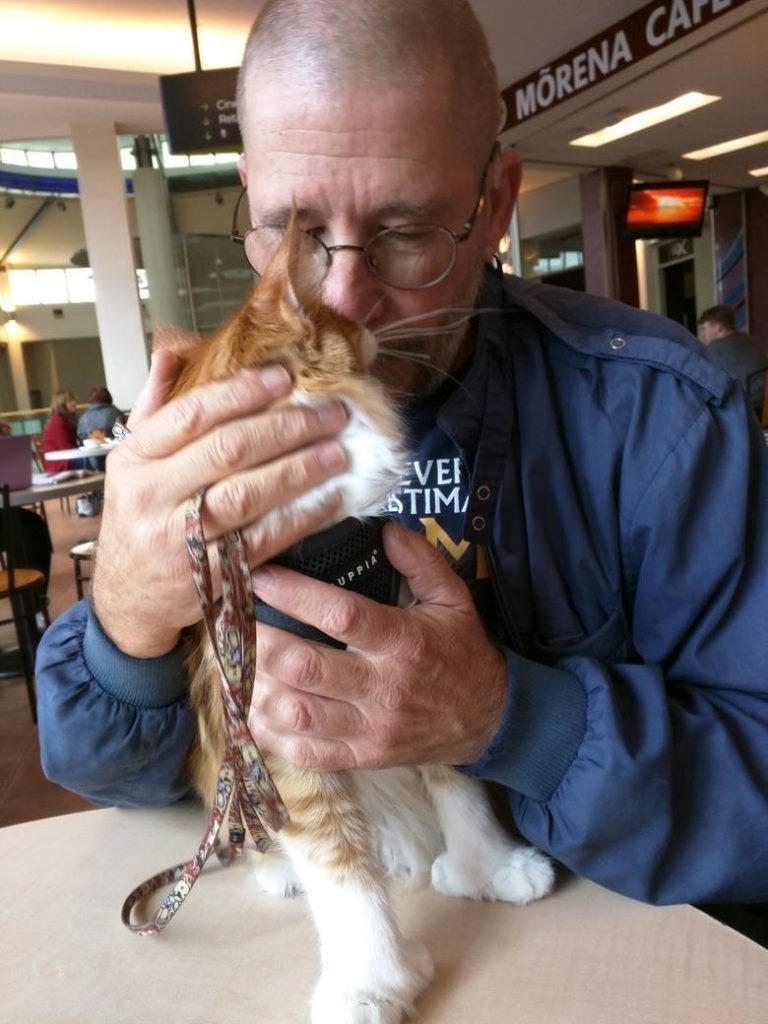 Maine Coon Cat Becomes Deaf Sailor’s Ears and Helps Him Navigate at Sea