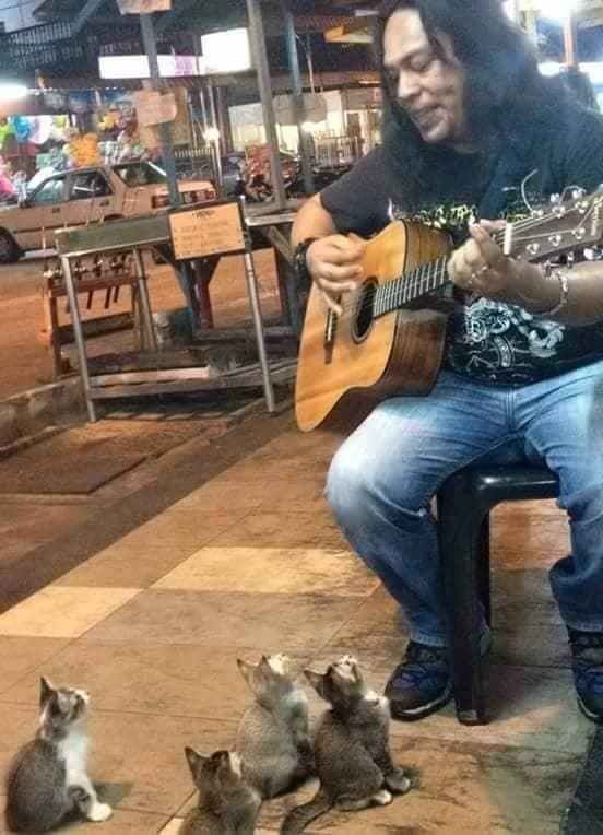 Man Sings To A Group of Tiny Kittens who Enjoy His Music