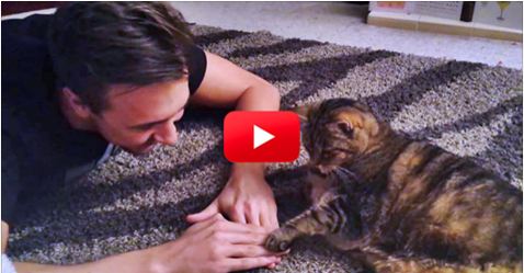 Watch This Funny Game Of “One Potato, Two Potato” Between A Cat And His Human–And Don’t Miss The Ending!