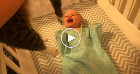 They Introduced This Adorable Cat to a Baby... What Happens Next Will Melt Your Heart...