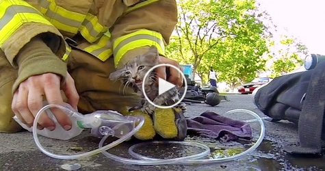 Brave Fireman RESCUES Helpless Kitty From Fire... AMAZING..