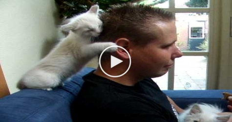 SENSITIVE Cute Kitty, Gives The Greatest Hugs To His Human... So LOVELY....