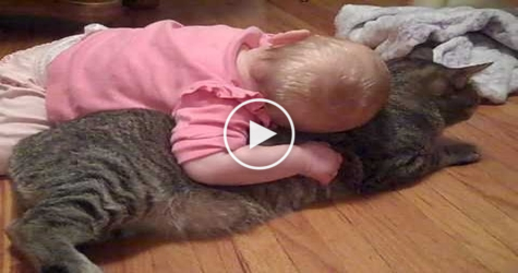 You Must See the Most Patient Cat In the Whole World. AMAZING