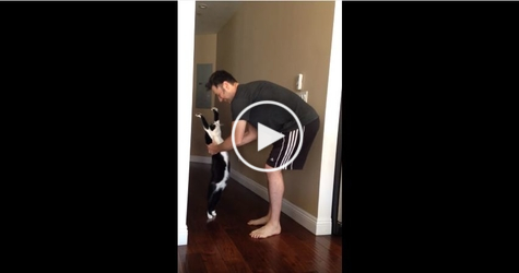 Sweet Kitten Hugs His Human. You Must See His PRICELESS Reaction