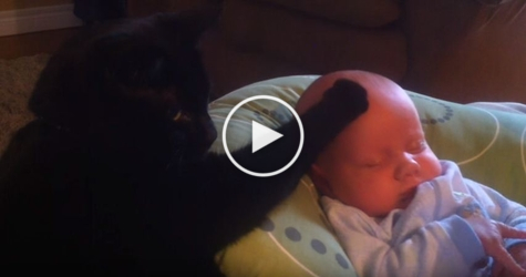 Kind Black Cat Soothing Baby to Sleep. Cuteness Overloaded.