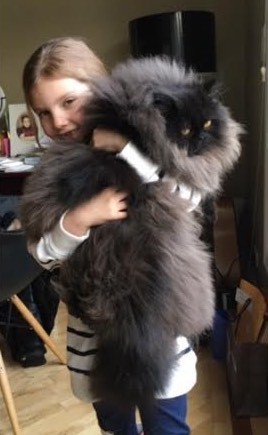 Little Runt Kitten Became HUGE Fluffy Cat!