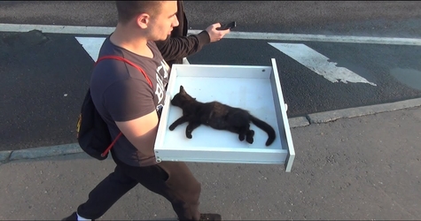 When They Found This Kitty, They Thought He Is Dying. But, What Happens Next is Miraculous