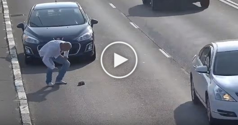 Kind Man Stops His Vehicle On a Busy Traffic To Save A Tiny Kitten. Unbelievable Rescue Story