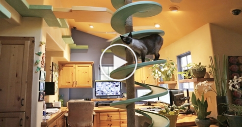Kind Man Turns His Entire Home Into Private Playground. Amazing