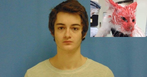 Horrible Teen Got 4 Years in Jail For Abusing Cat and Pet Rabbits