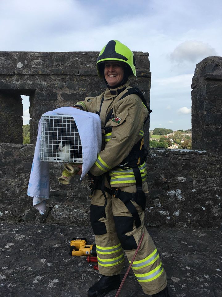 Kitty Saved From Razor Wire On 50-Foot High Castle Wall