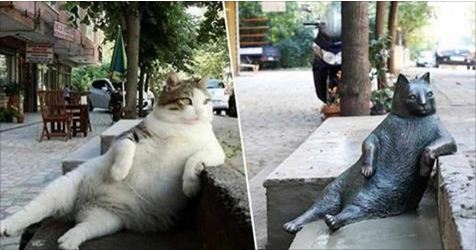 Istanbul's Most Famous Cat Tombili and World Meme, Honored With His Own Bronze Statue at His Favorite Chilling Position