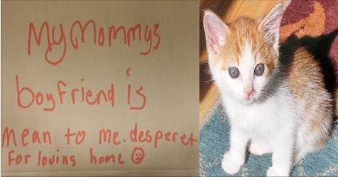Heartbreaking Letter Left Begging To Help This Poor Kitty