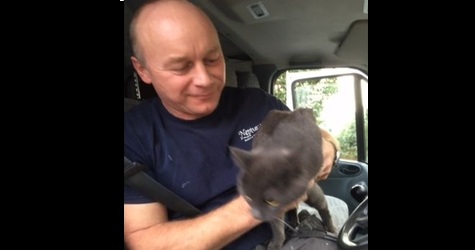 Cat Luckily Survived a 45-mile Road Journey On The Roof Of a Van