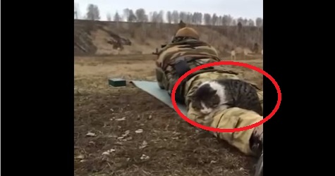 Soldier Cat Enjoys His Time On Shooting Range With His Human Soldier