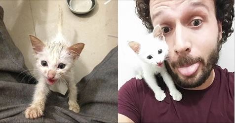 Kitten Found In Trash Can Rescued And Adopted By Its Rescuer