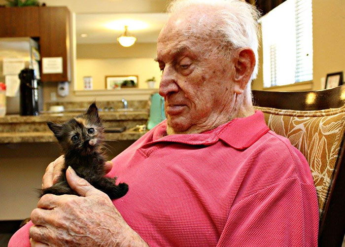 Residents  Of Elderly Care Center Caring For Orphaned Kitties