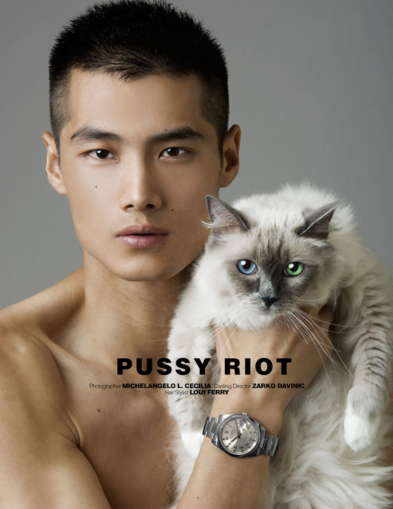 male-models-and-cats-1