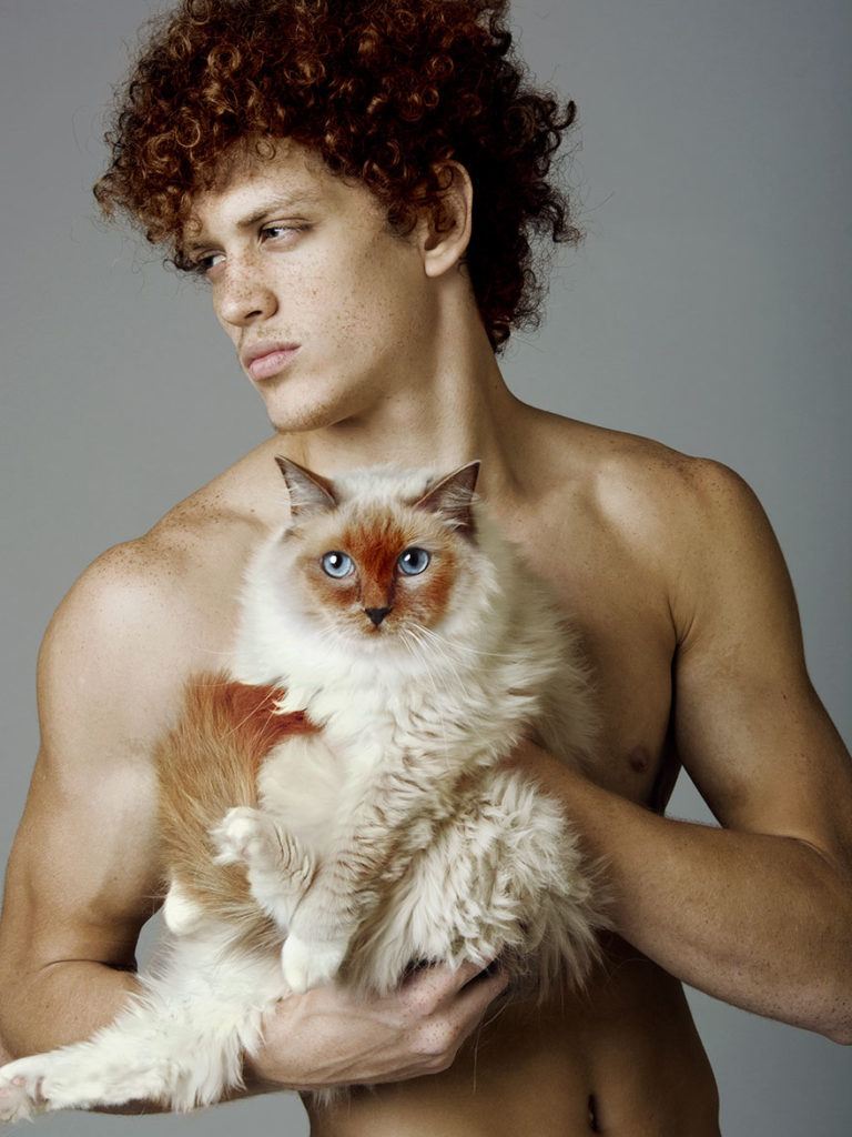 male-models-and-cats-2