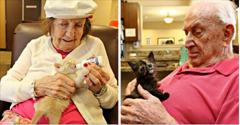 Residents Of Elderly Care Center Caring For Orphaned Kitties