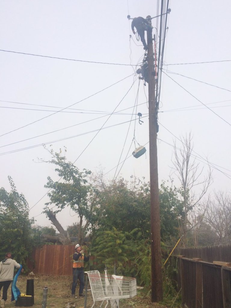This Unlucky Cat Was Stuck 9 Days On An Electric Pole, Before Being Rescued