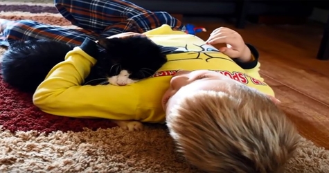 A Family’s Last Good Bye To The 20-year-old Cat They Adopted Two Years Ago