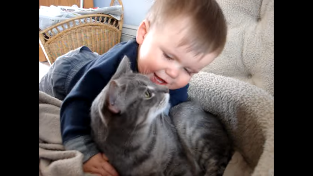 Baby Cuddling And Talking To His Best Friend a Gorgeous Kitty