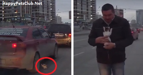 Lucky Tiny Kitten Escapes Certain Death